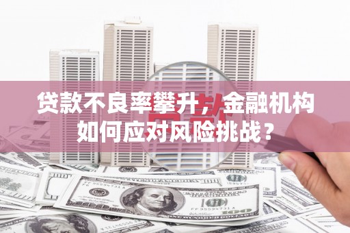 佳木斯贷款不良率攀升，金融机构如何应对风险挑战？