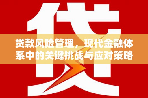 佳木斯贷款风险管理，现代金融体系中的关键挑战与应对策略