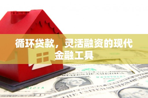 佳木斯循环贷款，灵活融资的现代金融工具