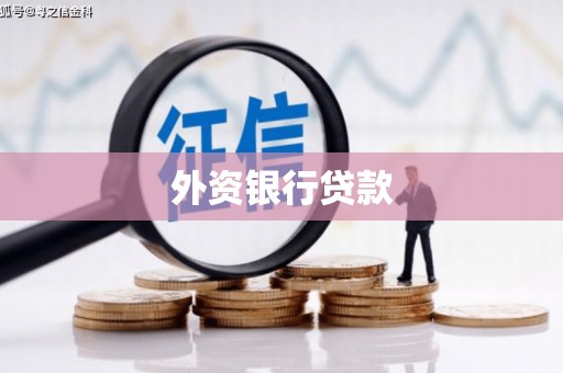 佳木斯外资银行贷款