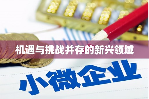 佳木斯机遇与挑战并存的新兴领域