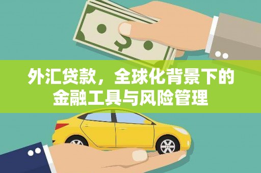佳木斯外汇贷款，全球化背景下的金融工具与风险管理
