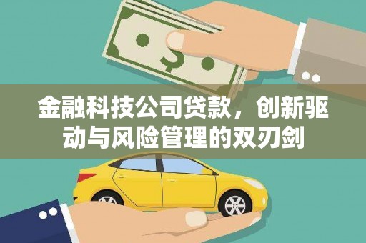 佳木斯金融科技公司贷款，创新驱动与风险管理的双刃剑