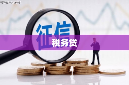 佳木斯税务贷